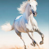 Алмазная мозаика "Белая лошадь"